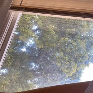 Meet your Posher, Yasmin